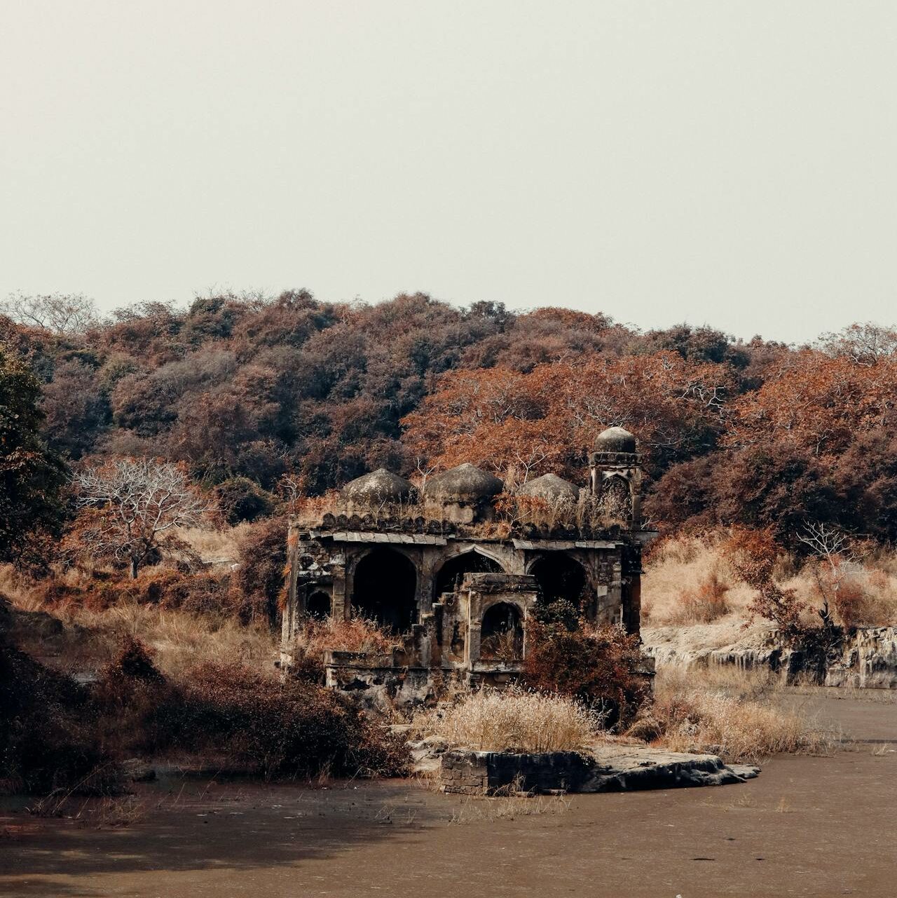 Ranthambore National Park in Rajasthan