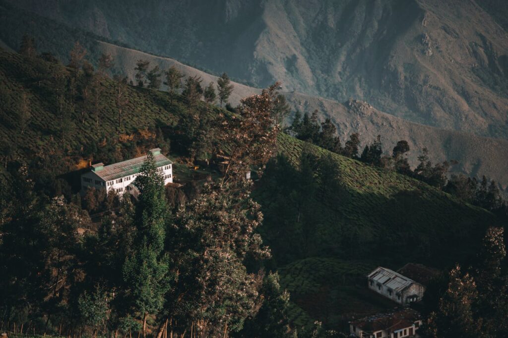 Munnar in Kerala