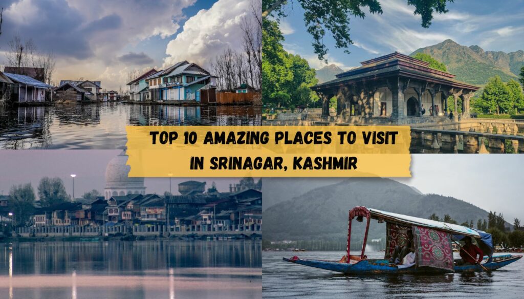 Top 10 amazing places to visit in Srinagar