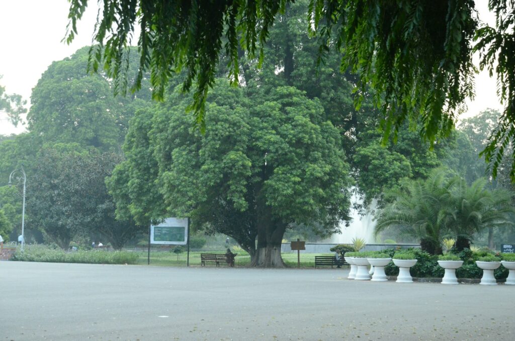 Park in Delhi