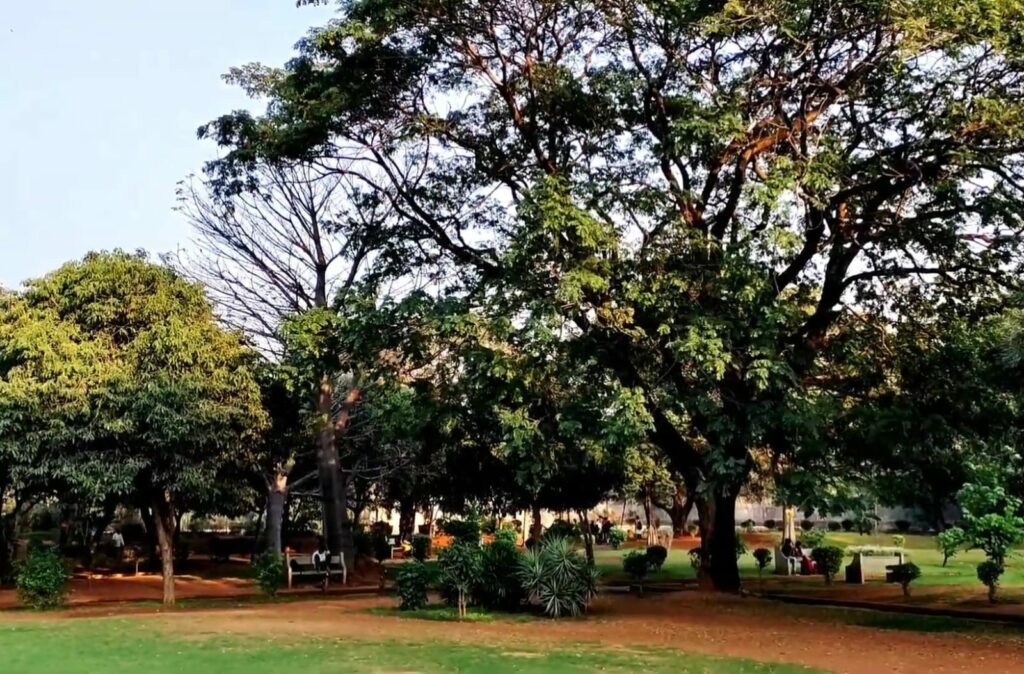 Chacha Nehru Park