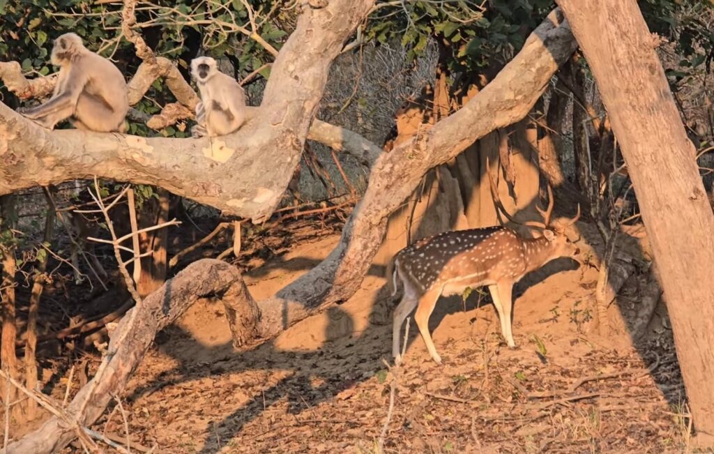 Rajaji National Park