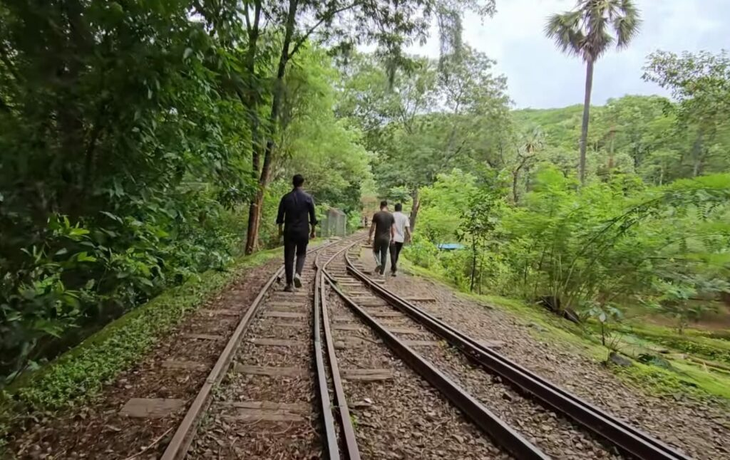 Sanjay Gandhi National Park surroundings