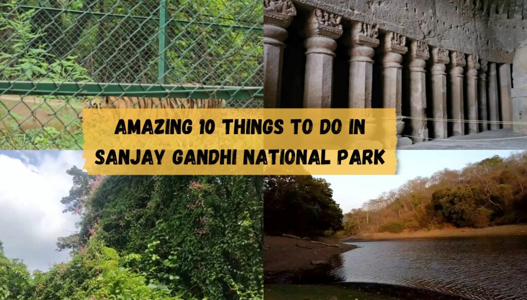Amazing 10 things to do in Sanjay Gandhi National Park