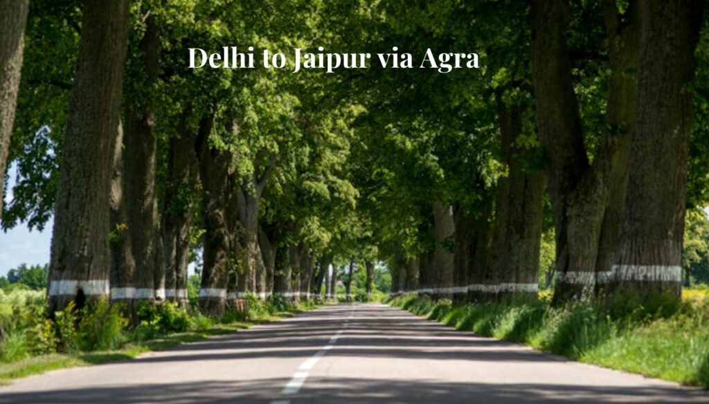 Delhi to Jaipur via Agra road trip