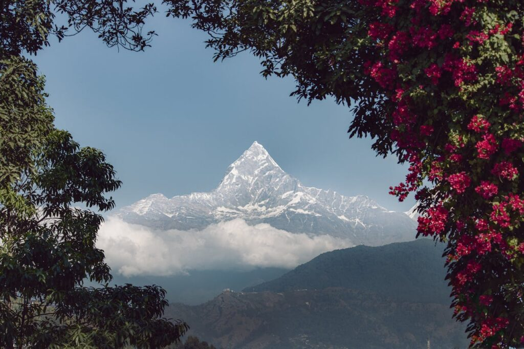 Valley of Flowers, Uttarakhand