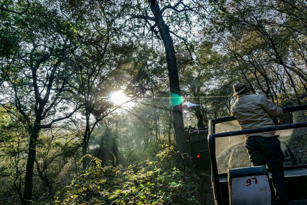 Ranthambore National Park, Rajasthan