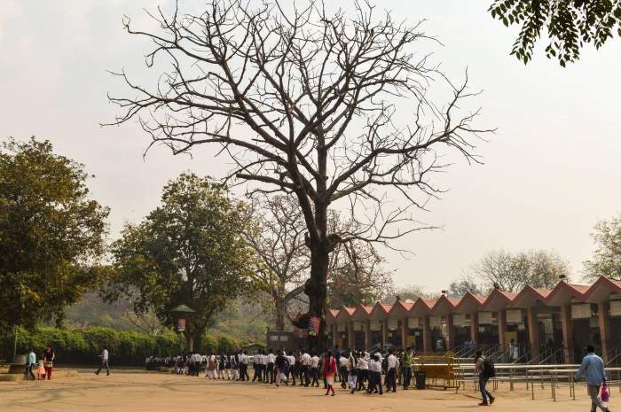 National Zoological Park in Delhi Visual appearance