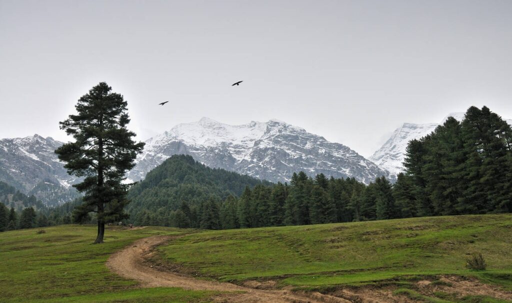 Aru Valley