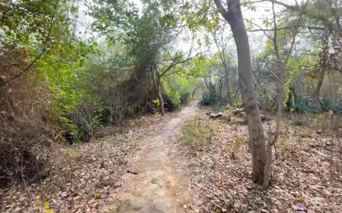 Buddha Jayanti Park