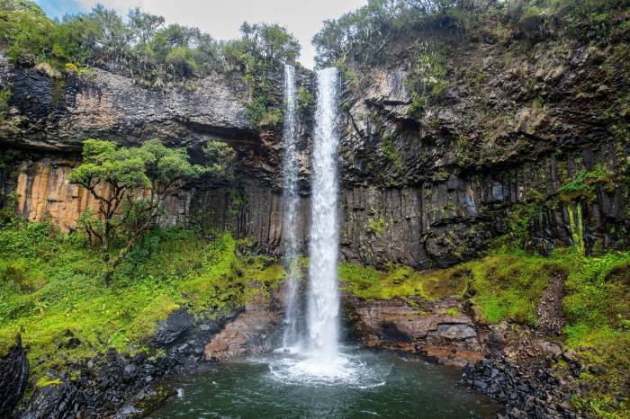 Chadwick Falls in Himachal Pradesh