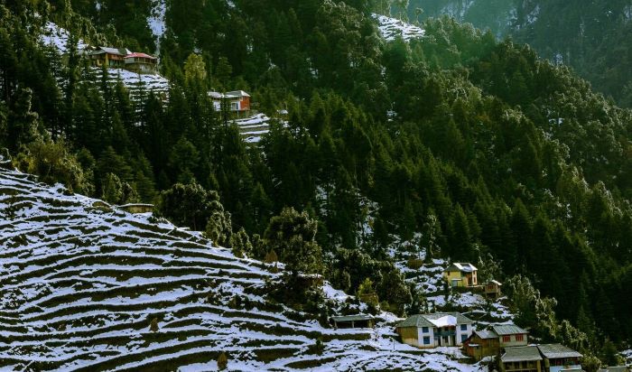 Dalhousie