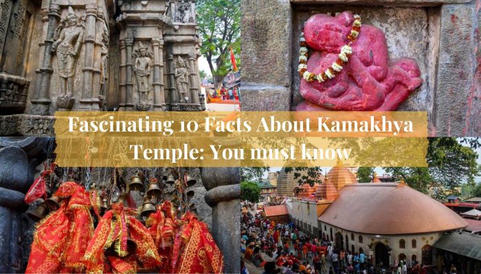 Facts about Kamakhya Temple