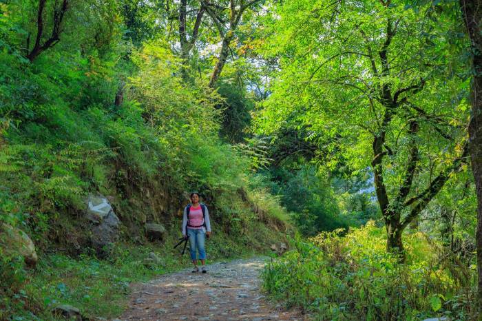 Great Himalayan National Park