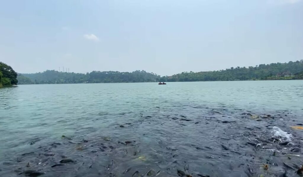 Mansar Lake