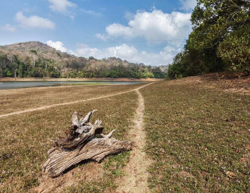 Nandini Wildlife Sanctuary, Jammu