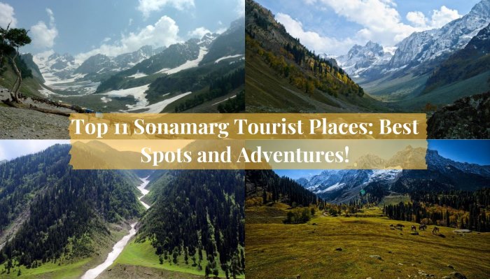 Sonamarg tourist places