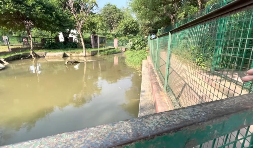 Manda Zoo, Jammu