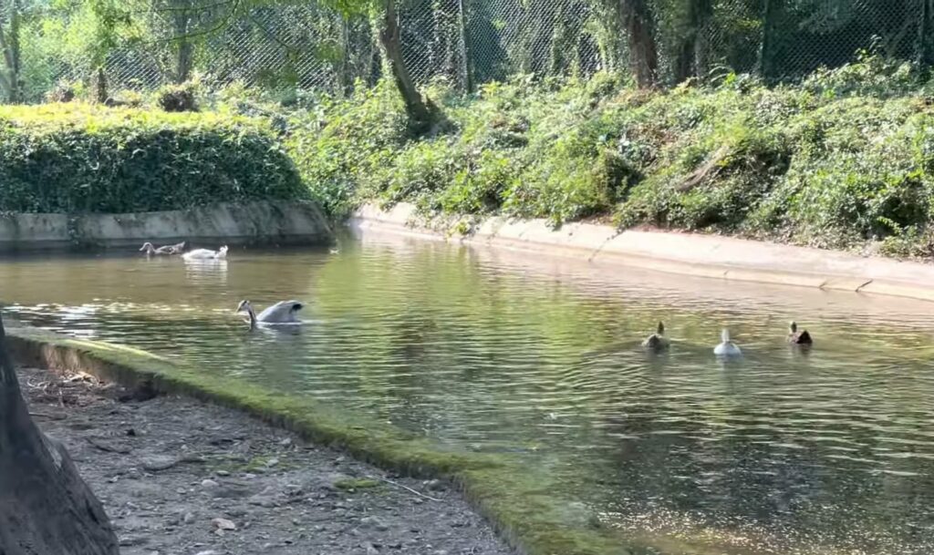 Manda Zoo, Jammu