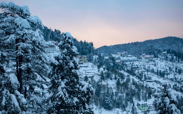 Shimla