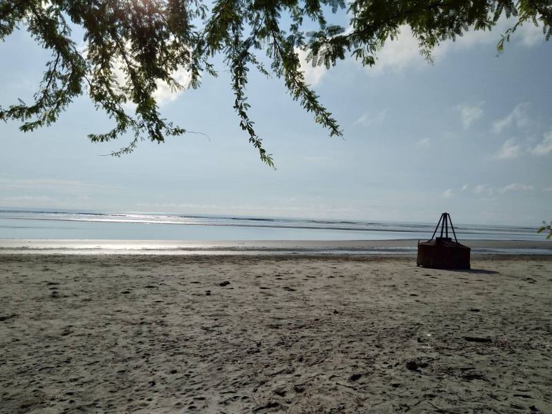 Chandipur Beach