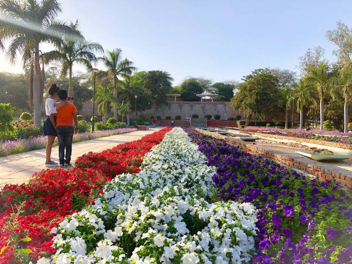 Flower beds in Talkatora Garden