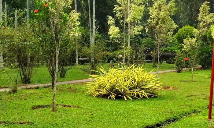 Thekkady Rose Park