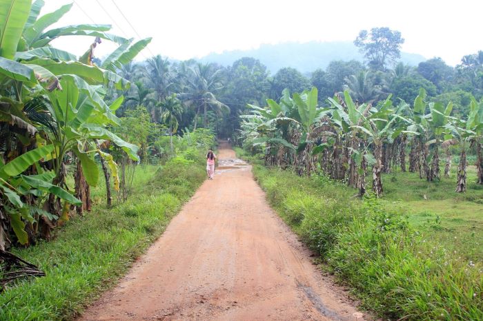 Murikkady