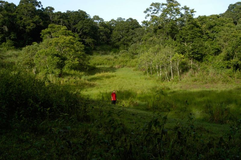 Periyar Tiger trek