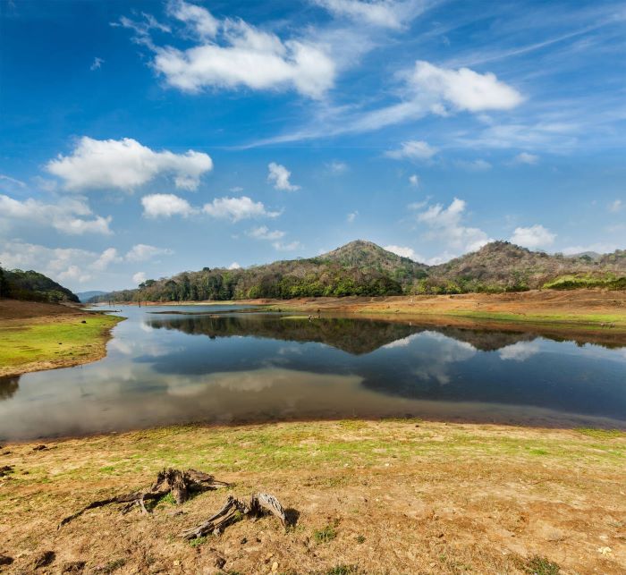 Periyar Wildlife Sanctuary