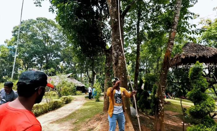 Thekkady Rose Park