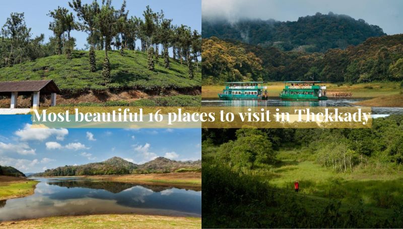 places to visit in Thekkady