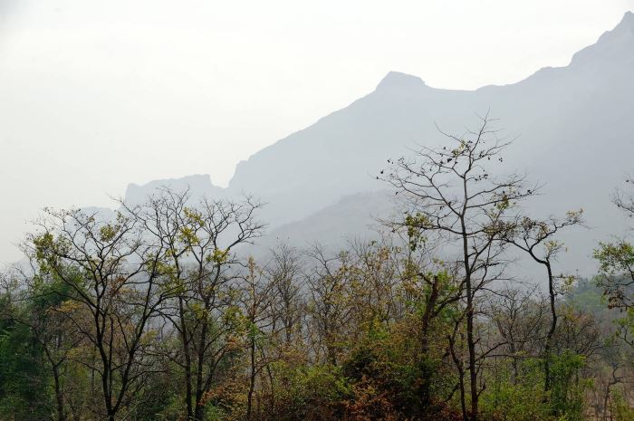 Ganji Pahari, Dalhousie