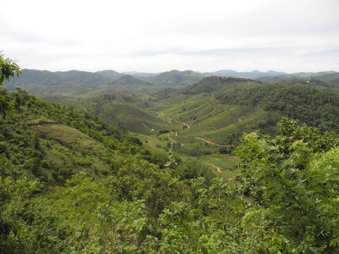 Kottancheri Hills