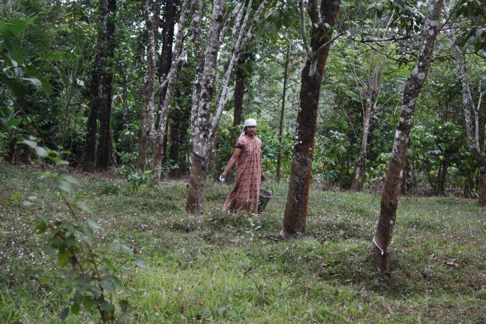 Ulipooni Wildlife Sanctuary