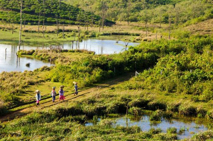 Vagamon Lake