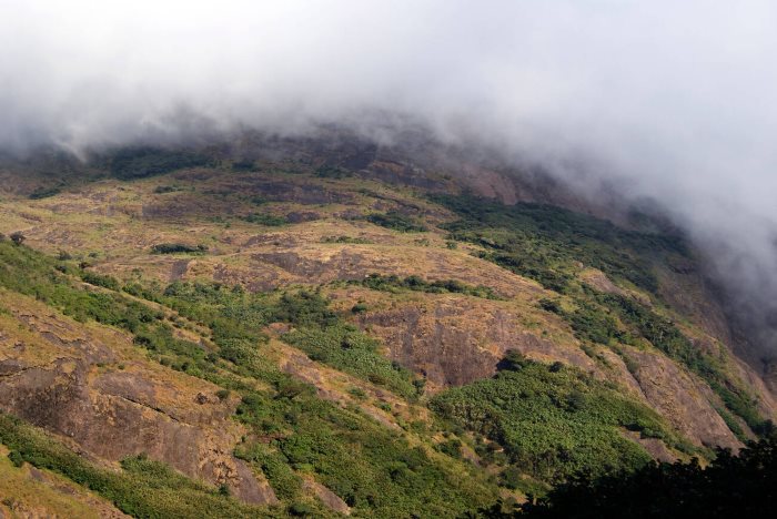 Agasthyarkoodam Peak