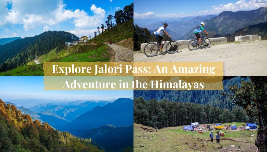 Explore Jalori Pass: An Amazing Adventure in the Himalayas