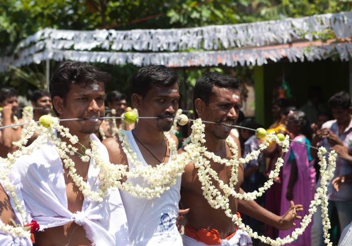 Festival Celebrations (Thai Poosam, Panguni Uthiram)