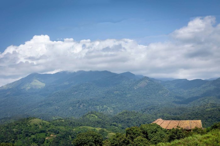 Kava Viewpoint