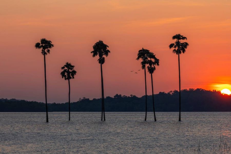 Malampuzha Lake