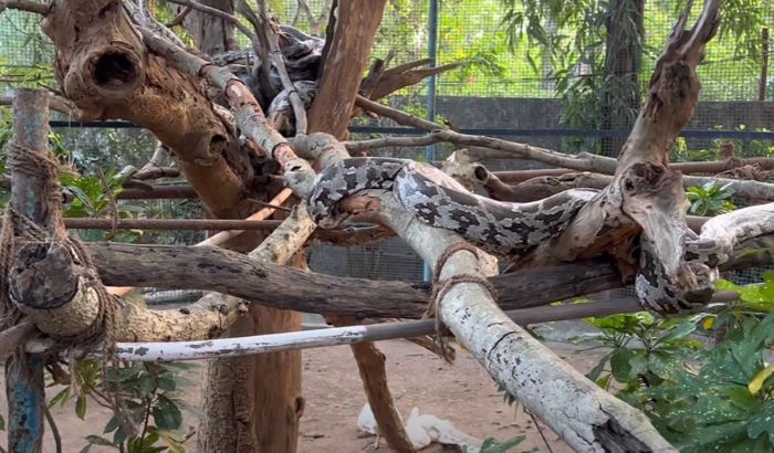 Malampuzha Snake Park