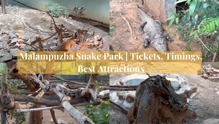 Malampuzha Snake Park Ultimate Guide