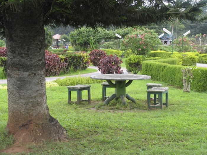 Malampuzha garden, Kerala, India