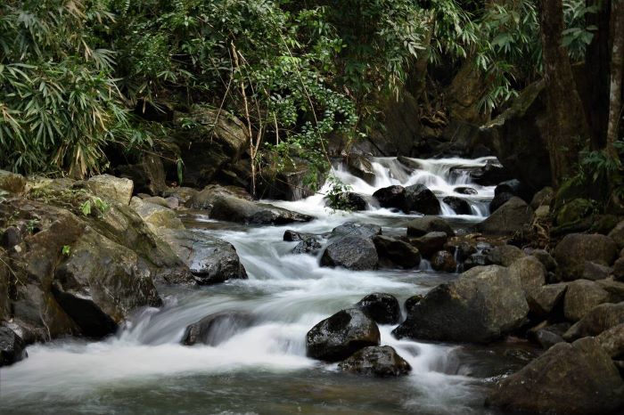 Mankayam Waterfalls