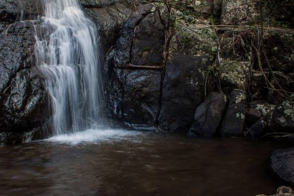 Monkey Falls, Coimbatore