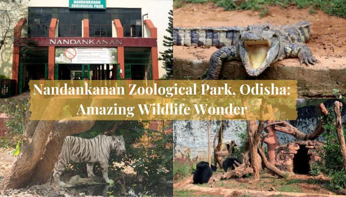 Nandankanan Zoological Park