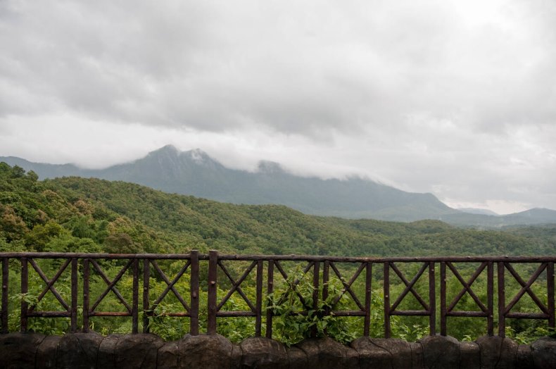  Nelliyampathy Hills