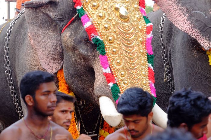 Pattambi Nercha Festival