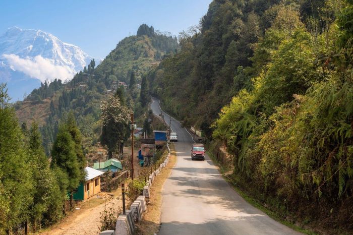 Road surrounded by mountains and trees